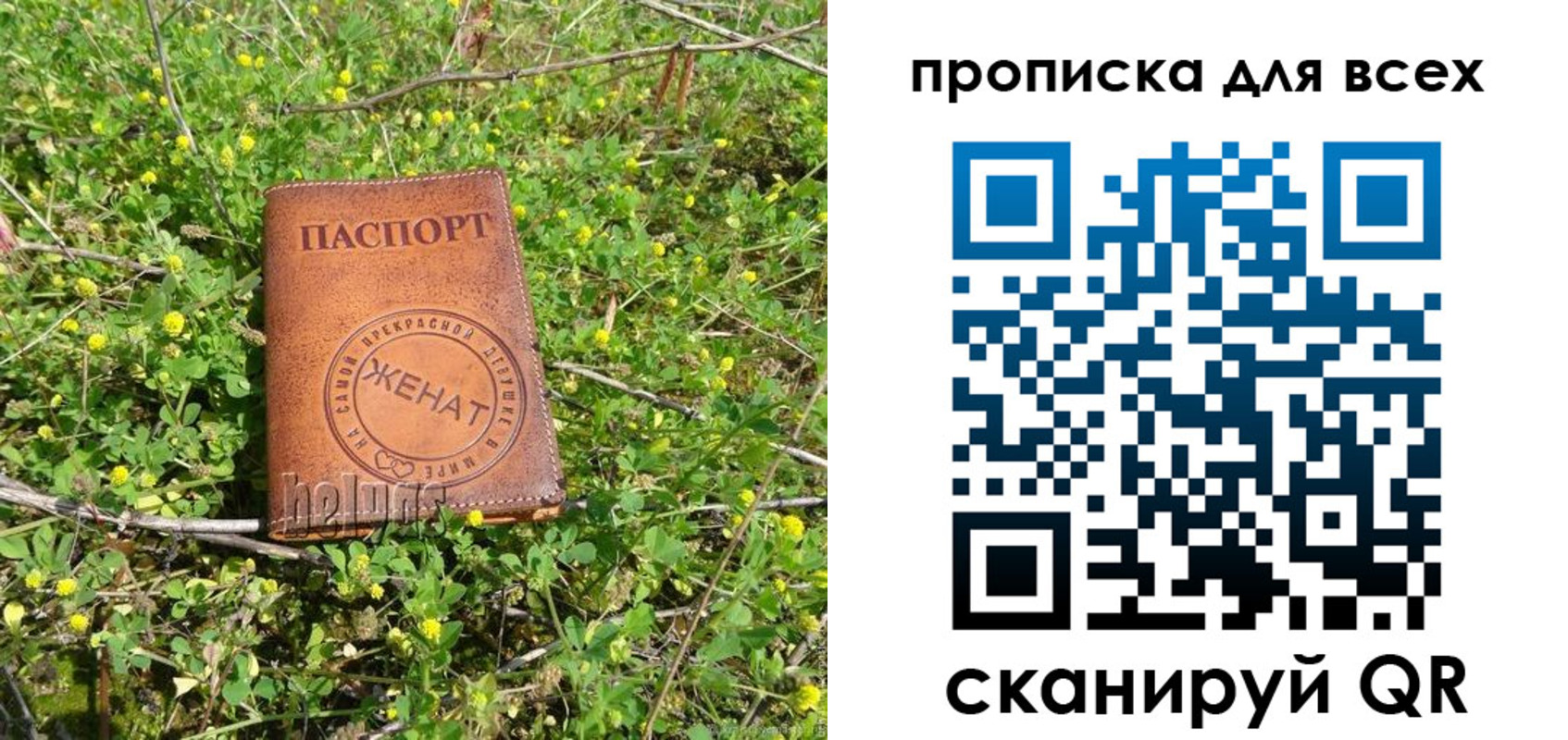 прописка поиск в Шуе